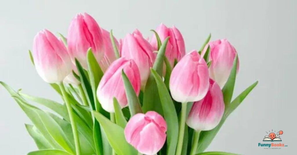 Funny Tulip Puns Captions