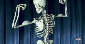 Bone Puns