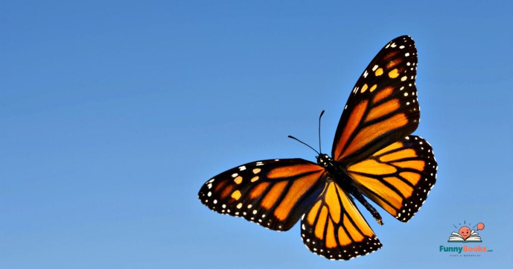 Funny Butterfly Puns One-Liners
