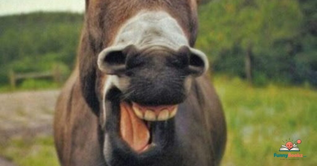 Funny Donkey Puns One Liners