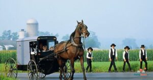 Amish Puns