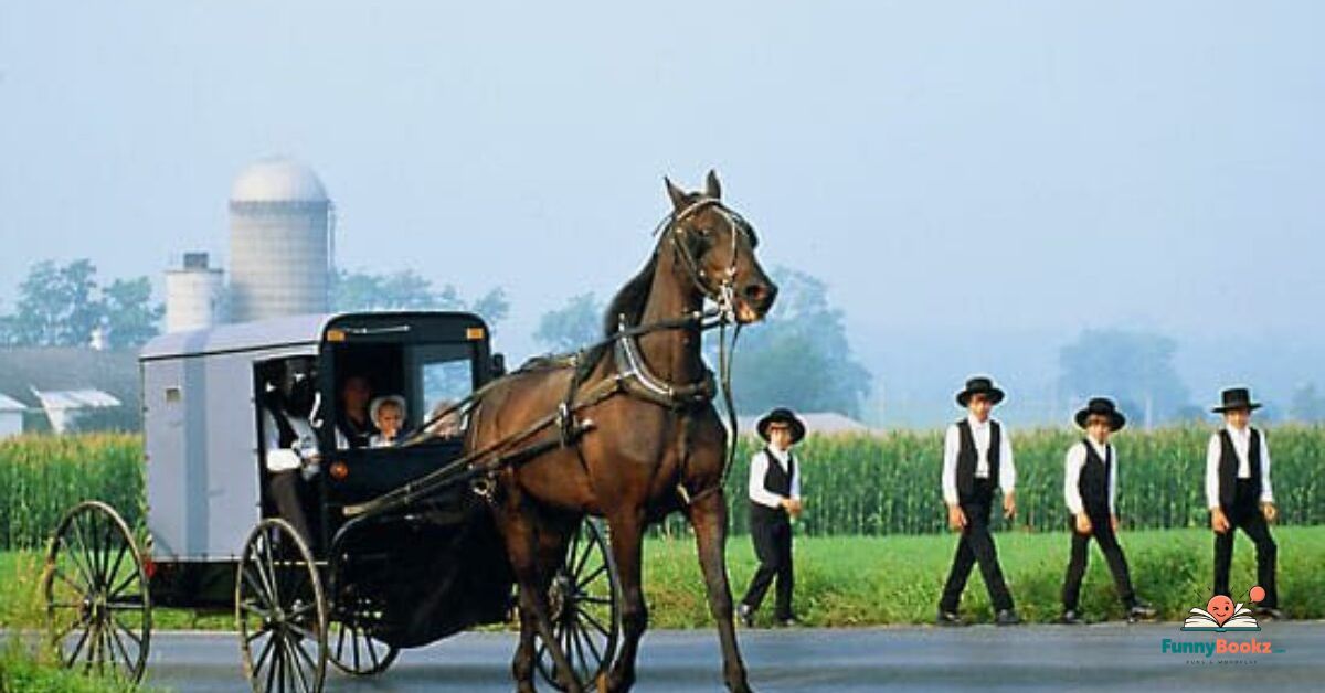 Amish Puns