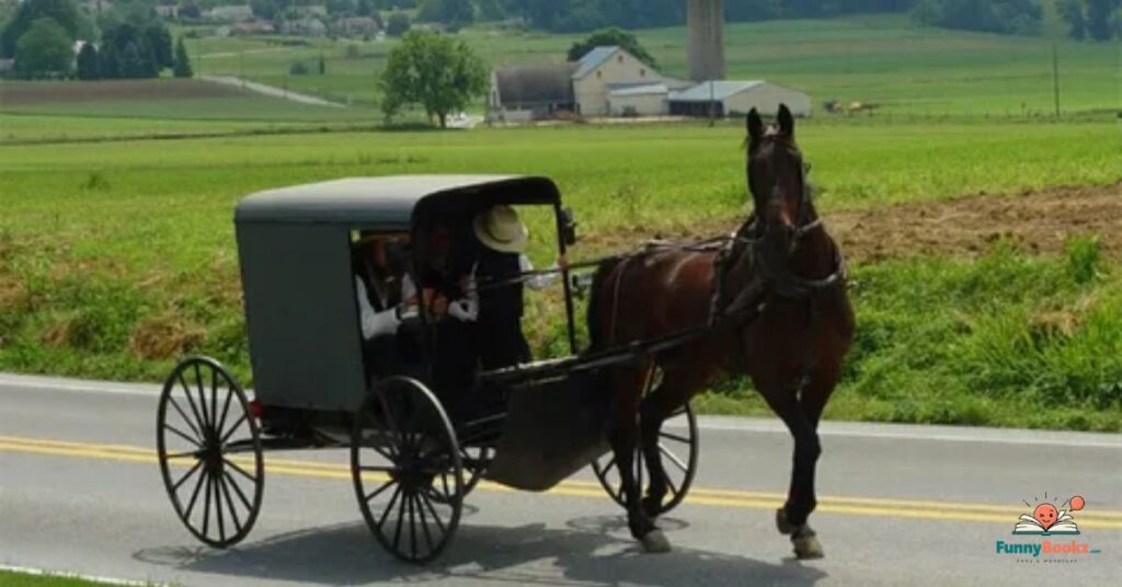 Funny Amish Puns Captions