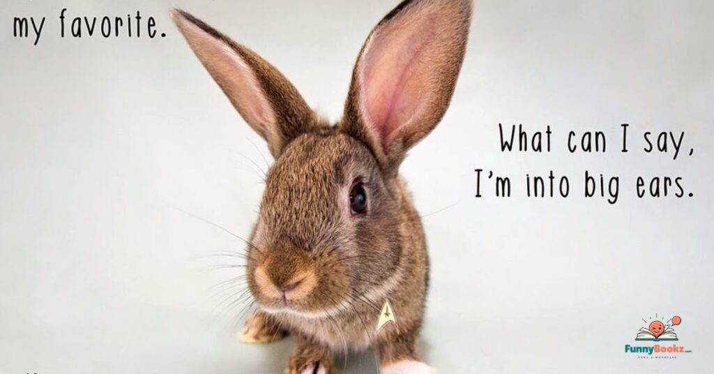 Funny Bunny Puns Captions